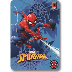 PLAID SPIDERMAN