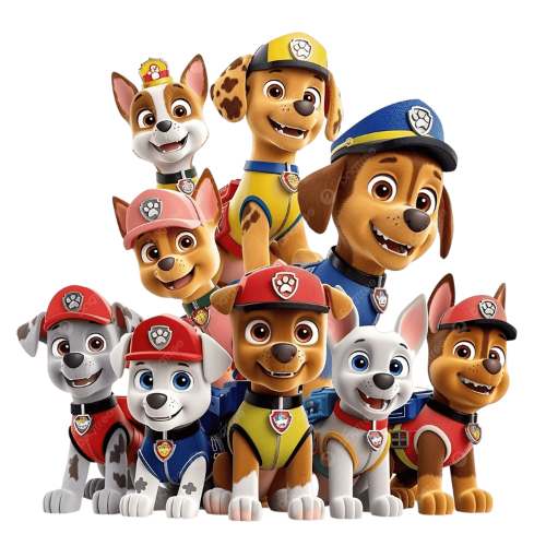PAW PATROL
