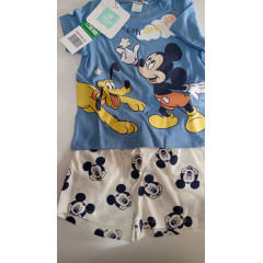 SET MICKEY